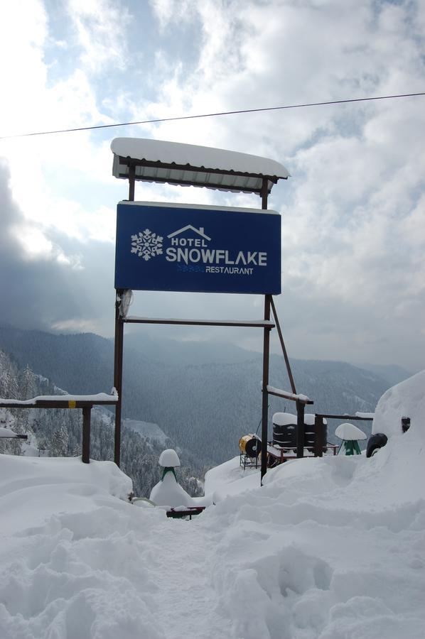 Hotel Snowflake Nārkanda Exterior photo